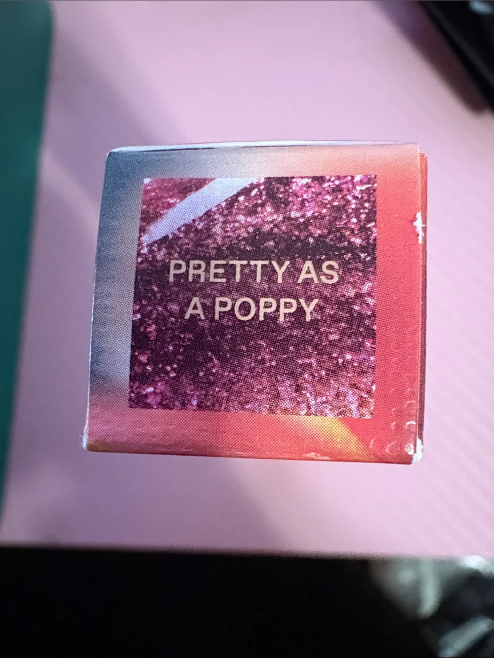 r.e.m. beauty Wicked: For Good - Poppy Plumping Lip Gloss - Unopened